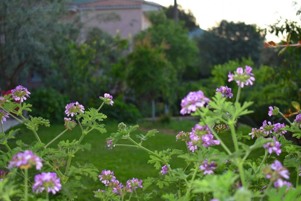 Villa Sunset Lefkas Άγιος Ιωάννης Εξωτερικό φωτογραφία